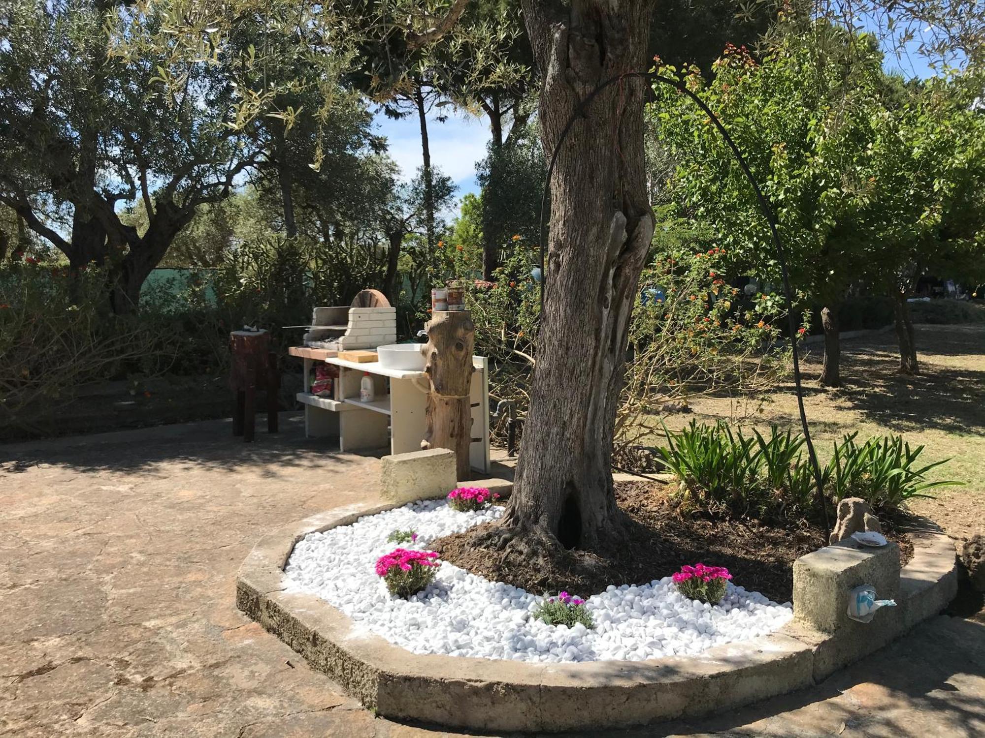 Butterfly House Bed & Breakfast Alghero Extérieur photo
