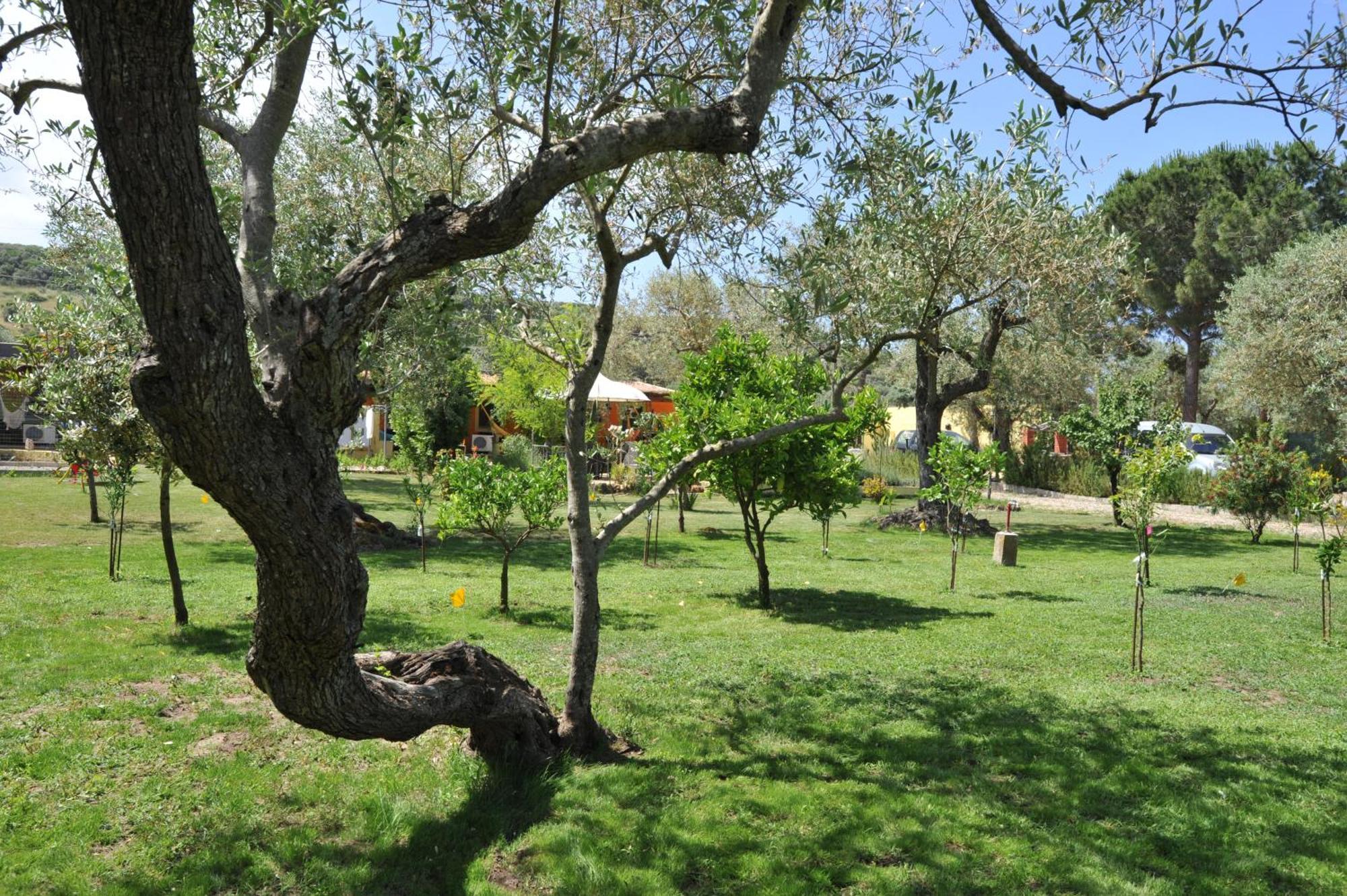 Butterfly House Bed & Breakfast Alghero Extérieur photo